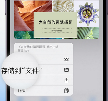 石台apple维修中心分享iPhone文件应用中存储和找到下载文件