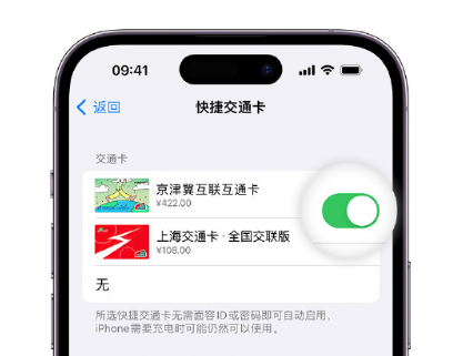 石台apple维修点分享iPhone上更换Apple Pay快捷交通卡手绘卡面 