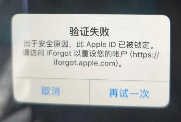 石台iPhone维修分享iPhone上正常登录或使用AppleID怎么办 