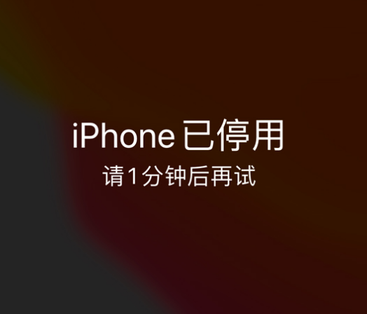 石台苹果手机维修分享:iPhone 显示“不可用”或“已停用”怎么办？还能保留数据吗？ 