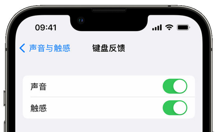 石台苹果手机维修分享iPhone 14触感键盘使用方法 