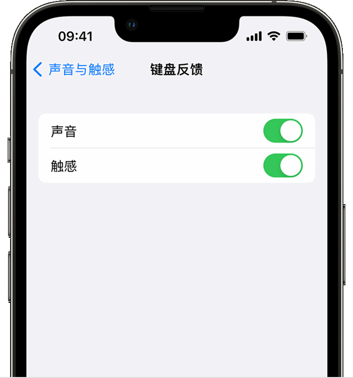 石台苹果14维修店分享如何在 iPhone 14 机型中使用触感键盘 