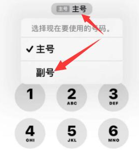 石台苹果14维修店分享iPhone 14 Pro Max使用副卡打电话的方法 