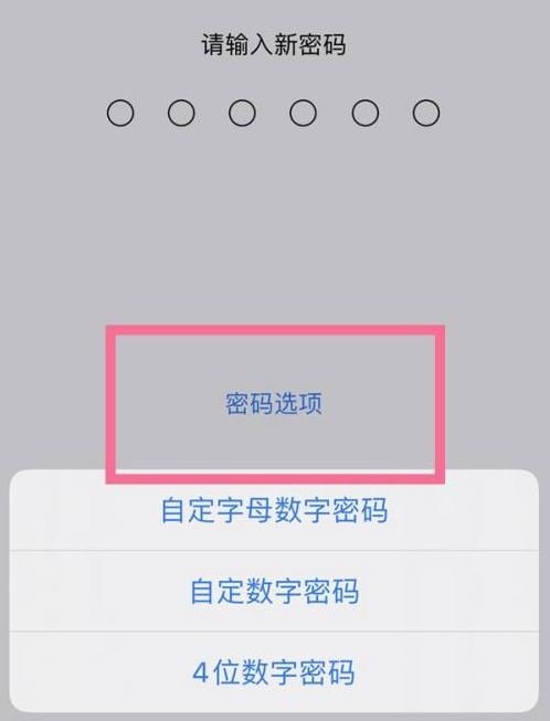 石台苹果14维修分享iPhone 14plus设置密码的方法 