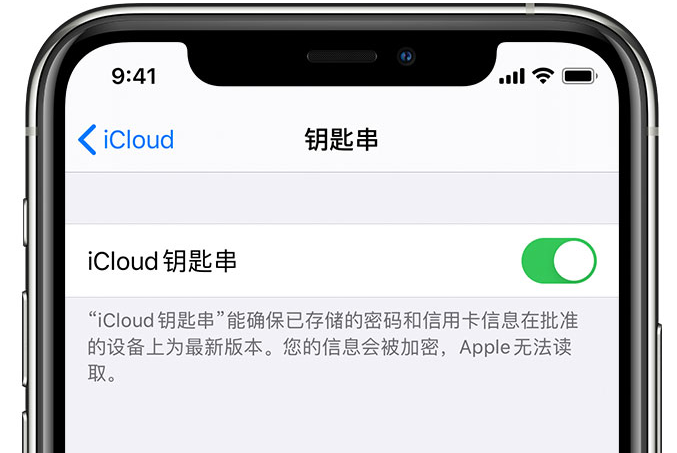 石台苹果手机维修分享在 iPhone 上开启 iCloud 钥匙串之后会储存哪些信息 