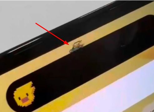 石台苹果14维修分享iPhone 14 Pro Max灵动岛怎么养宠物 