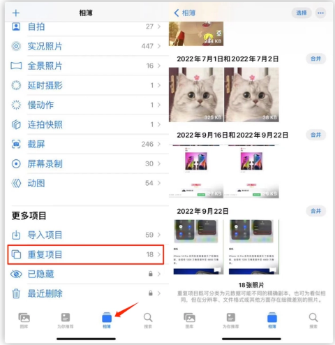 石台苹果手机维修分享iOS 16 中相册重复项目功能使用方法 