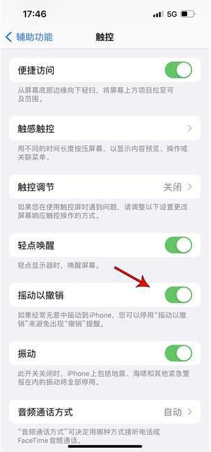 石台苹果手机维修分享iPhone手机如何设置摇一摇删除文字 