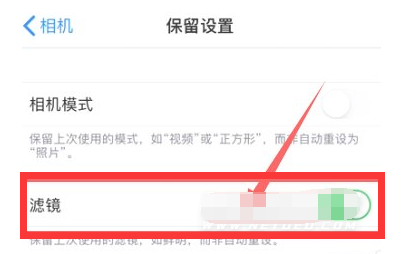 石台苹果13维修分享iPhone13拍照有绿点是怎么回事 