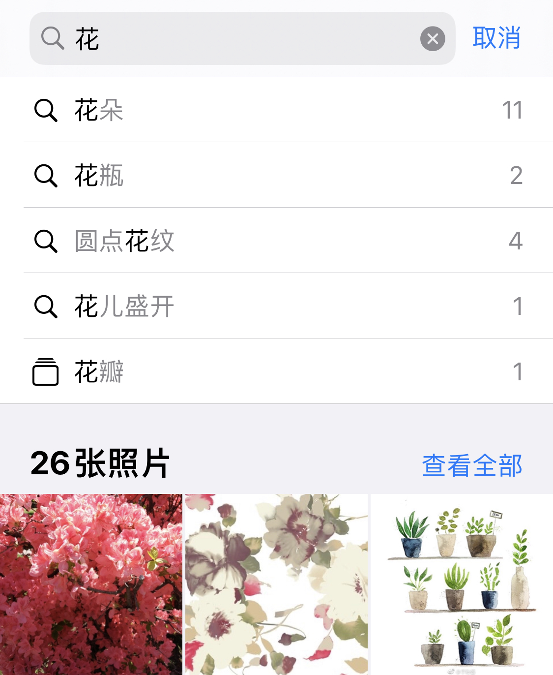 石台苹果手机维修分享iPhone 小技巧 