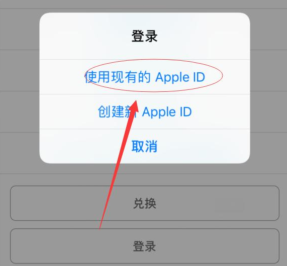 石台苹果手机维修分享两台iPhone设备可以同时登录一个Apple ID吗 