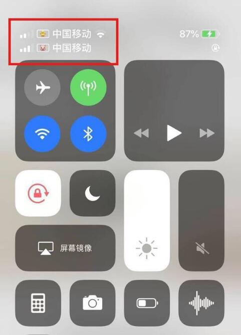 石台苹果手机维修分享为 iPhone 12 双卡设置标签 