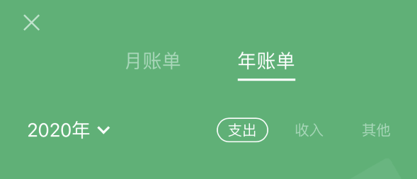 石台苹果手机维修分享如何在 iPhone 上查看支付宝和微信年支出账单 